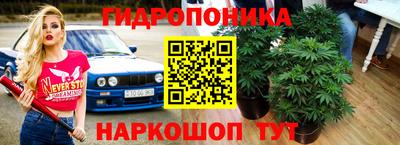 спиды Кунгур