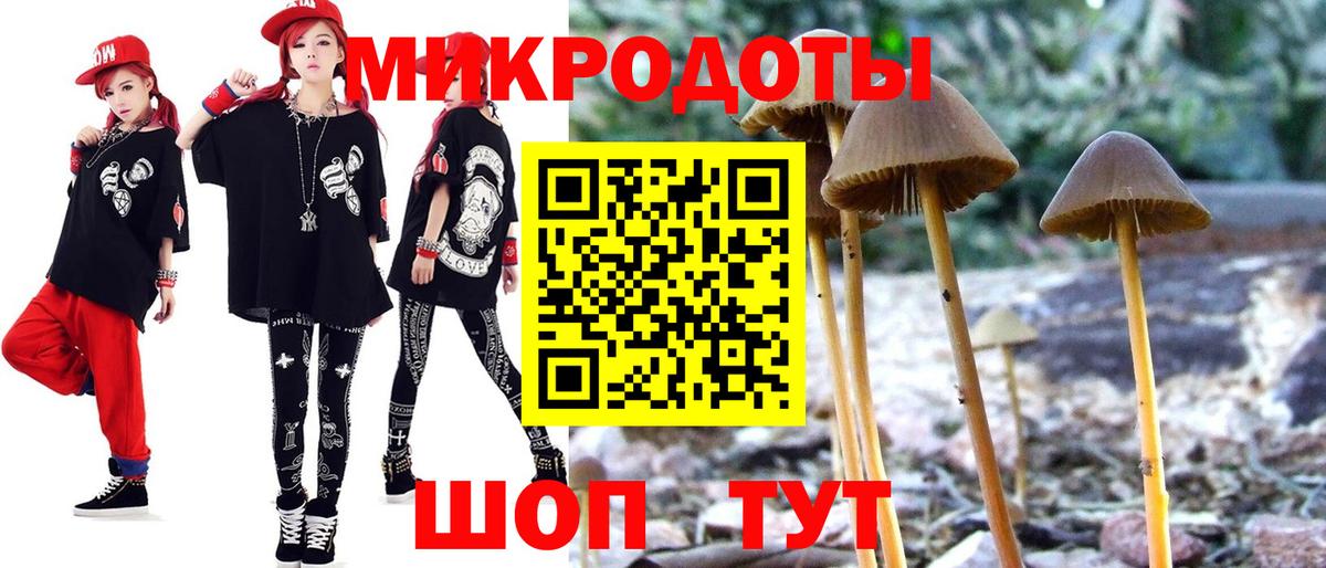 Галлюциногенные грибы GOLDEN TEACHER  Псилоцибиновые грибы GOLDEN TEACHER  Зеленогорск  Вход с VPN 