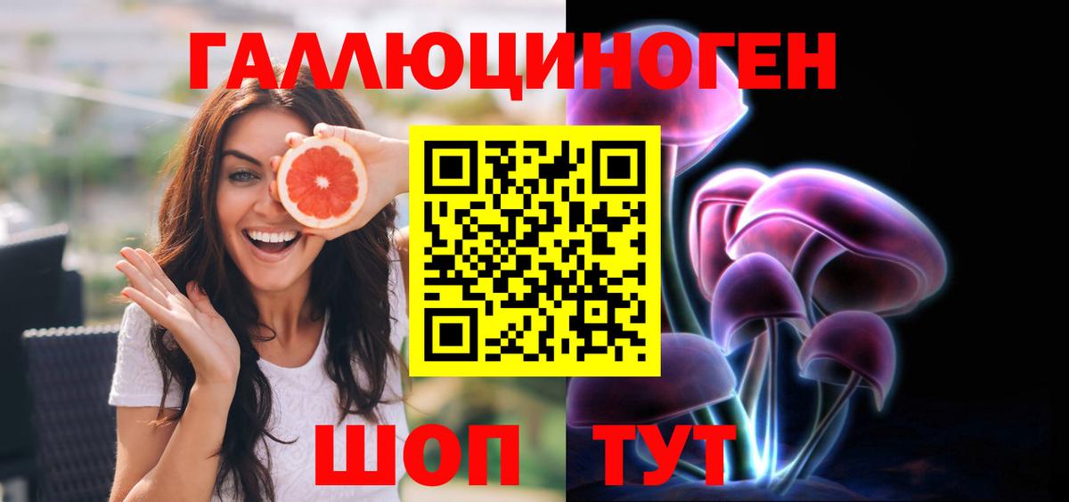 Галлюциногенные грибы Psilocybe Зеленогорск